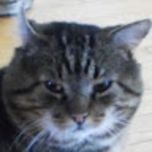 Meet your Posher, Karina